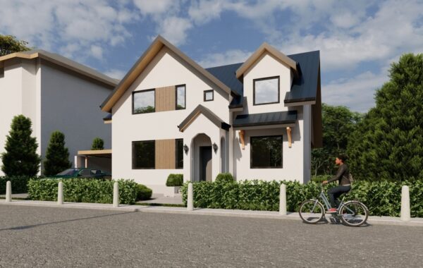 Project house Preda Buzescu