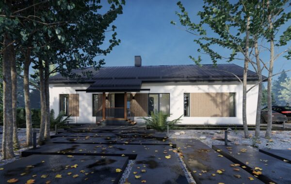 House project I. L. Caragiale